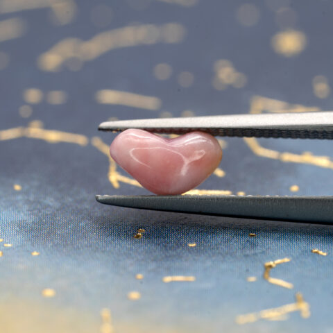 コンクパール 0.52ct ドミニカ共和国産