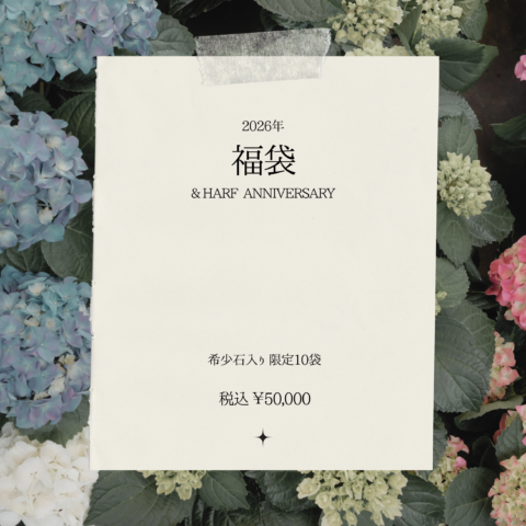 2026年 福袋 ハーフアニバーサリー記念