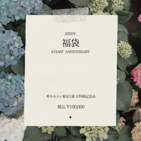 2026年 福袋 ハーフアニバーサリー記念 限定販売