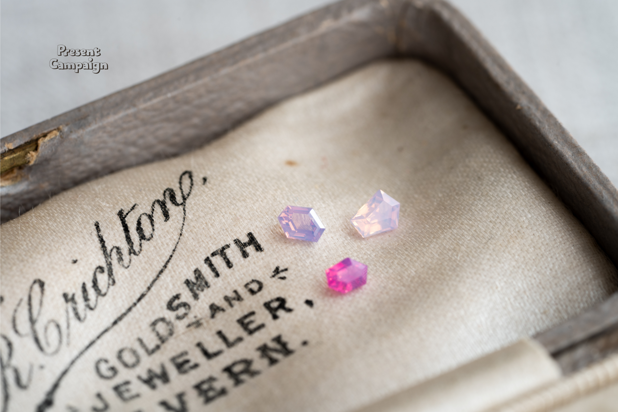 Present Campaign (1)